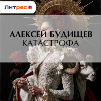 Алексей Будищев. Катастрофа