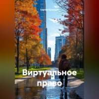 Сергей Александрович Кузнецов. Виртуальное право