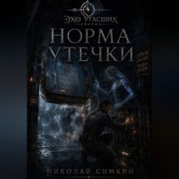 Николай Симкин. Норма утечки