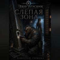 Николай Симкин. Слепая зона