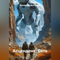 Валерий Антонов. Асцендент: Сеть