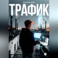 Ирина Васильева. Трафик