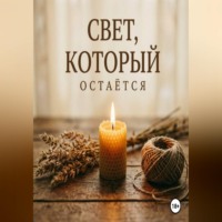 Дина Владимирова. Свет, который остаётся