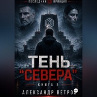 Александр Ветров. Последний принцип: Тень 
