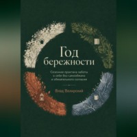 Влад Велирский. Год бережности