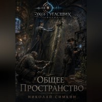 Николай Симкин. Общее пространство