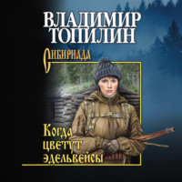 Владимир Топилин. Когда цветут эдельвейсы (сборник)