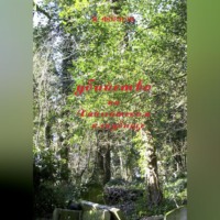 Натали Формэн. Убийство на Хайгейтском кладбище