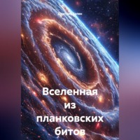 Дмитрий Селин. Вселенная из планковских битов