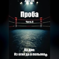 Дина Тим. Проба. Часть II. На дне: из огня да в полымя