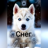 . Снег