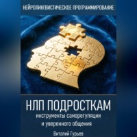 . НЛП подросткам: инструменты саморегуляции и уверенного общения