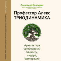 Профессор Алекс Александр Калтырин. Профессор Алекс. Триодинамика. Архитектура устойчивости личности, лидера и корпорации