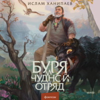 Ислам Ханипаев. Буря и чудной отряд