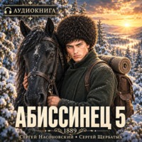 Сергей Насоновский. Абиссинец 1889. Том 5