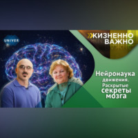 . Как мозг человека обучается, адаптируется и восстанавливается