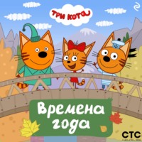 Коллектив авторов. Три кота. Времена года