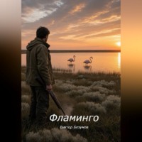 Виктор Безумов. Фламинго