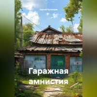 Сергей Александрович Кузнецов. Гаражная амнистия