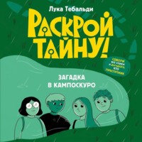 Лука Тебальди. Загадка в Кампоскуро