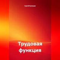 Сергей Александрович Кузнецов. Трудовая функция