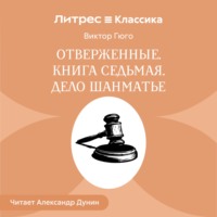 Виктор Гюго. Отверженные. Книга седьмая. ДЕЛО ШАНМАТЬЕ