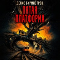 Денис Бурмистров. Пятая платформа