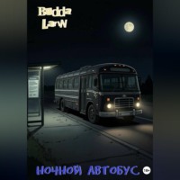 Budda Larin. Ночной автобус