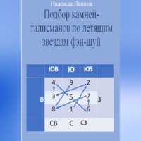 Надежда Михайловна Лапина. Подбор камней-талисманов по летящим звездам фэн-шуй