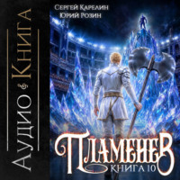 Сергей Карелин. Пламенев. Книга X