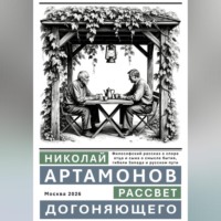 Николай Геннадьевич Артамонов. Рассвет догоняющего
