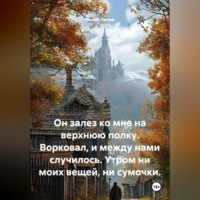 Лилия Лилия. Он залез ко мне на верхнюю полку. Ворковал, и между нами случилось. Утром ни моих вещей, ни сумочки.