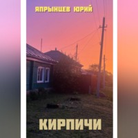 Юрий Анатольевич Япрынцев. Кирпичи