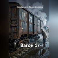 Владимир Кожевников. Вагон 17