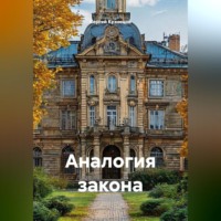 Сергей Александрович Кузнецов. Аналогия закона