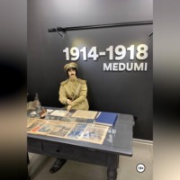 Ярослав Кичало. Военно-исторический роман Пепел Медуми