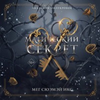 Мег Сюэмэй Икс. Академия полукровок. Магический секрет