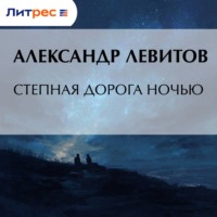 Александр Левитов. Степная дорога ночью