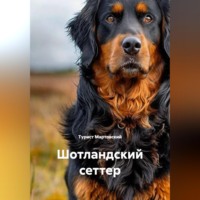 Турист Мартовский. Шотландский сеттер