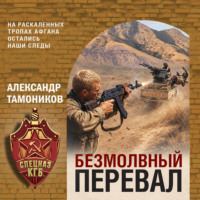 Александр Тамоников. Безмолвный перевал