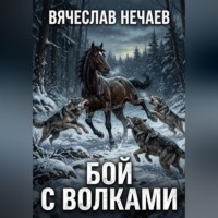 Вячеслав Иванович Нечаев. Бой с волками
