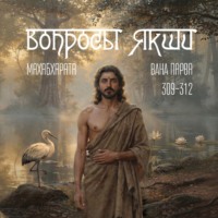Пётр Щекалёв. Махабхарата – Вопросы Якши
