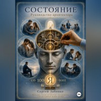Сергей Валерьевич Забияко. Состояние. Руководство архитектора