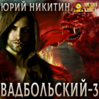 Юрий Никитин. Вадбольский – 3
