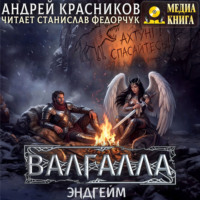 Андрей Красников. Валгалла VII. Эндгейм