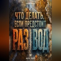 . Что делать, если предстоит развод. Как пройти расставание, сохранить опору и начать следующий этап жизни