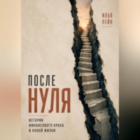 Илья Лейн. После нуля. История финансового краха и новой жизни