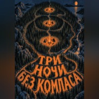 Тео Норд. Три ночи без компаса