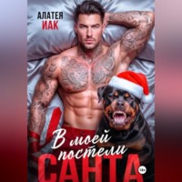 . Санта в моей постели