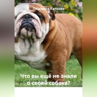 . Что вы ещё не знали о своей собаке?
